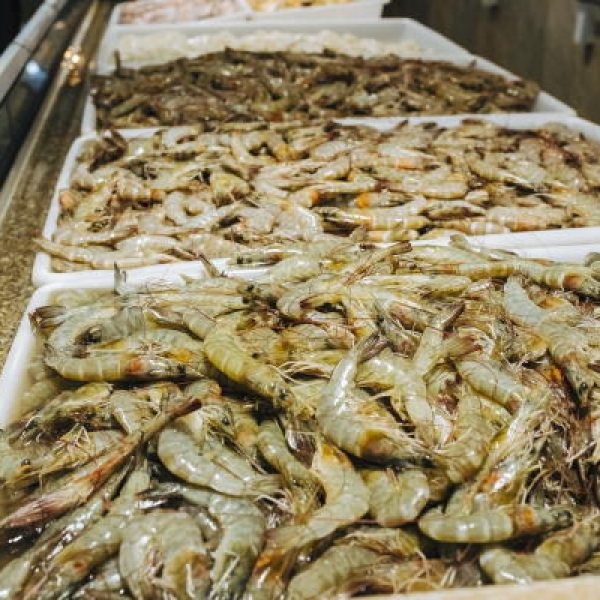 camarao graudo fresco delivery mercado de peixe cabo frio sao pedro da aldeia peixaria central do camarao