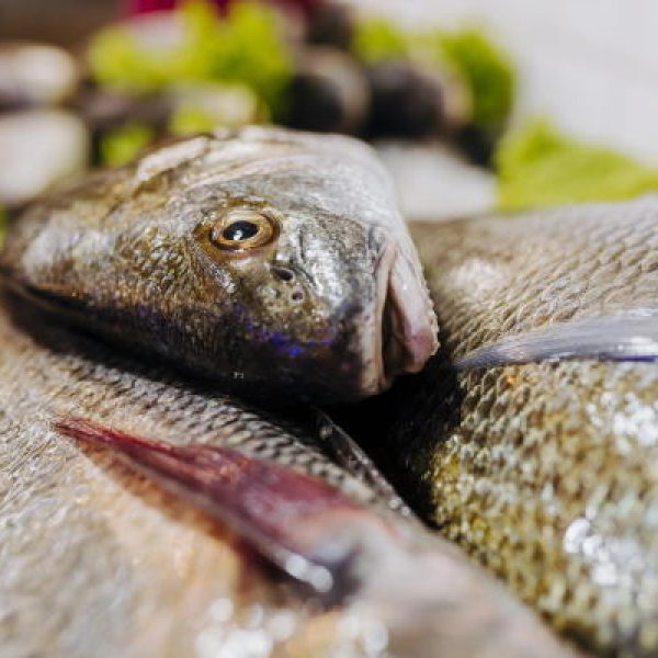 corvina peixe fresco delivery mercado de peixe cabo frio sao pedro da aldeia peixaria central do camarao