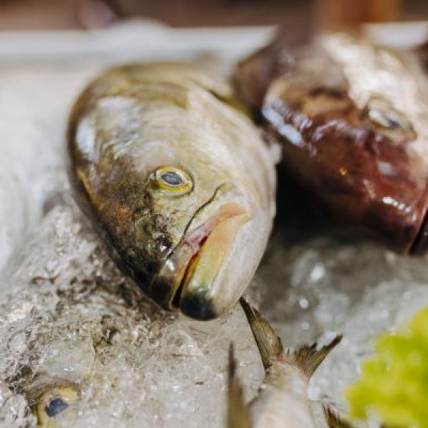 Compre SÃO PEDRO- Peixe fresco em casa